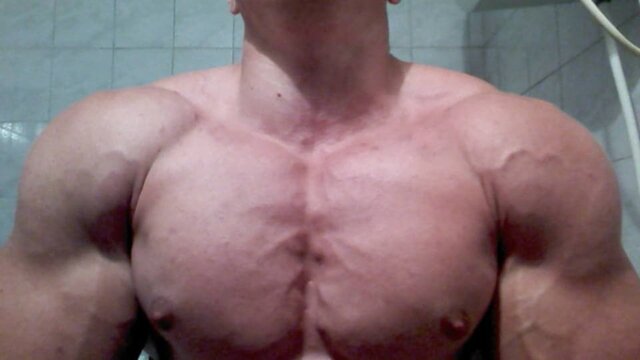 Bull Mass