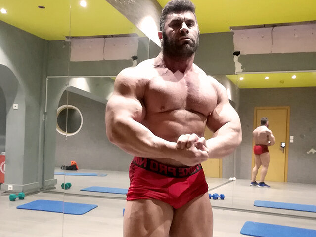 The Beast