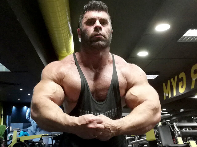 The Beast