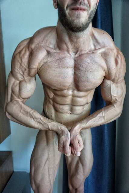 Savi Shredz