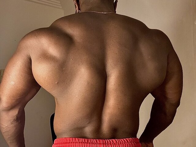IronHunk