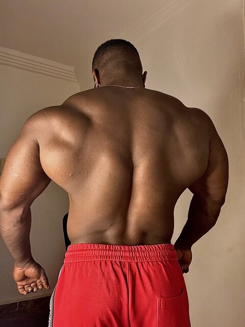 IronHunk