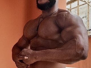 IronHunk