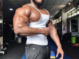 IronHunk