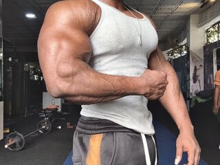 IronHunk