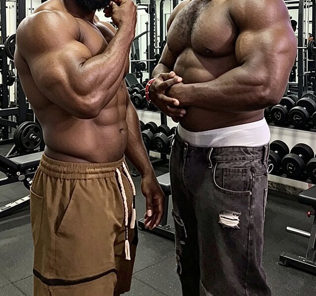 IronHunk