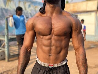 Hard Lion