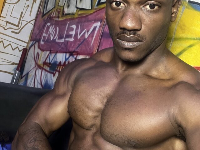 Hard Lion