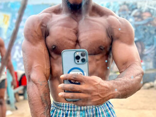 Hard Lion