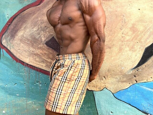 Hard Lion