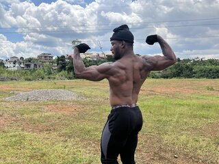 Hard Lion