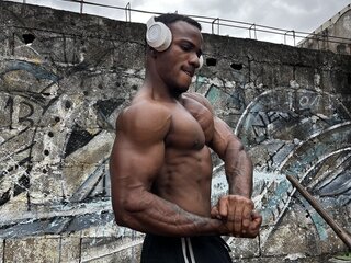 Hard Lion