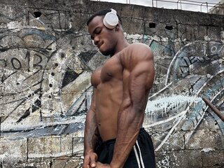 Hard Lion
