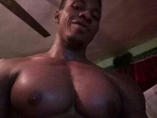 Dbrano