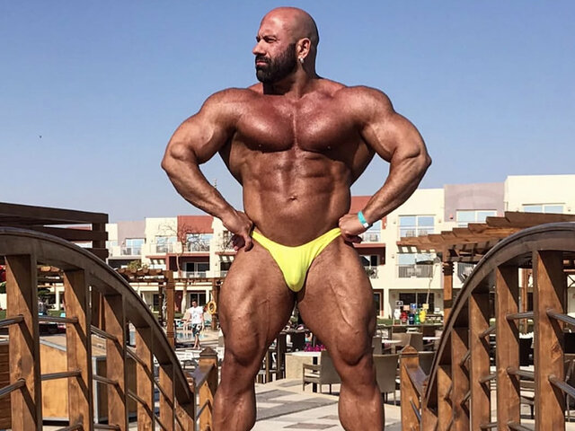 Hans Hoffmann